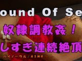 ノンフィクションSEXボイス！実録！M女ブタ女の奴●調教！-スパンキング＆巨根のガン突きで声が枯れるまで連続絶頂！！- ASMR/バイノーラル/ドS/M女/激しめ/サド☆